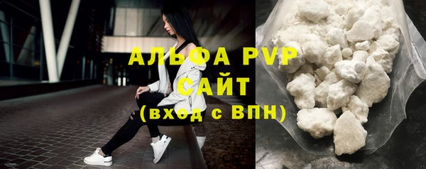 прущие грибы Покров