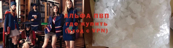прущие грибы Покров