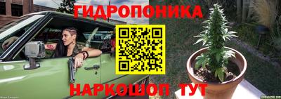 амф Жуковский