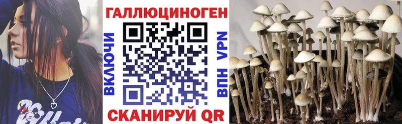 Галлюциногенные грибы Magic Shrooms  Старая Русса 